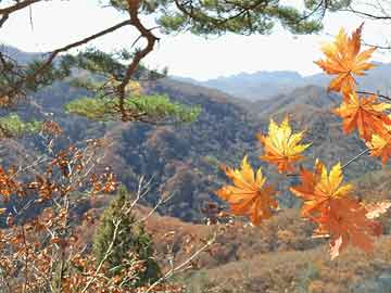 哈古村民委员会最新招聘信息汇总